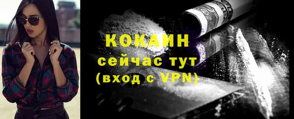 прущие грибы Россошь