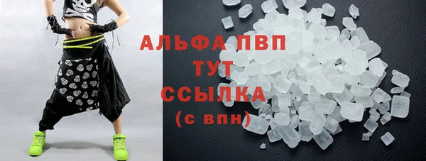 прущие грибы Россошь